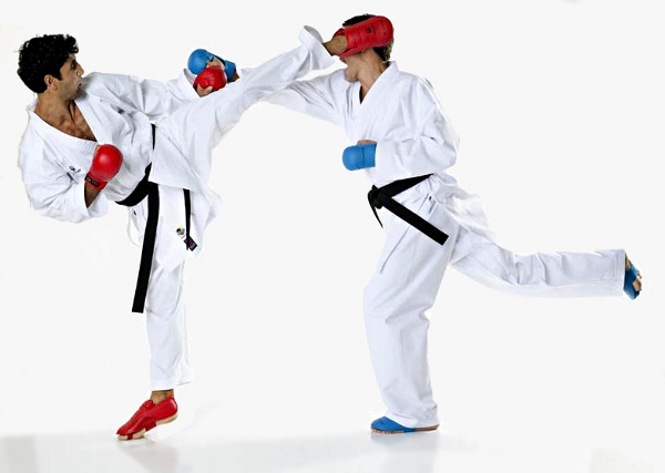 Karateanzüge TOKAIDO